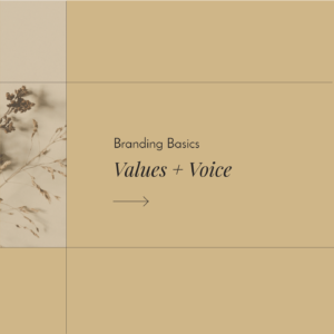 Brand Values and Brand Voice, Brand Strategy, Brand Basics
