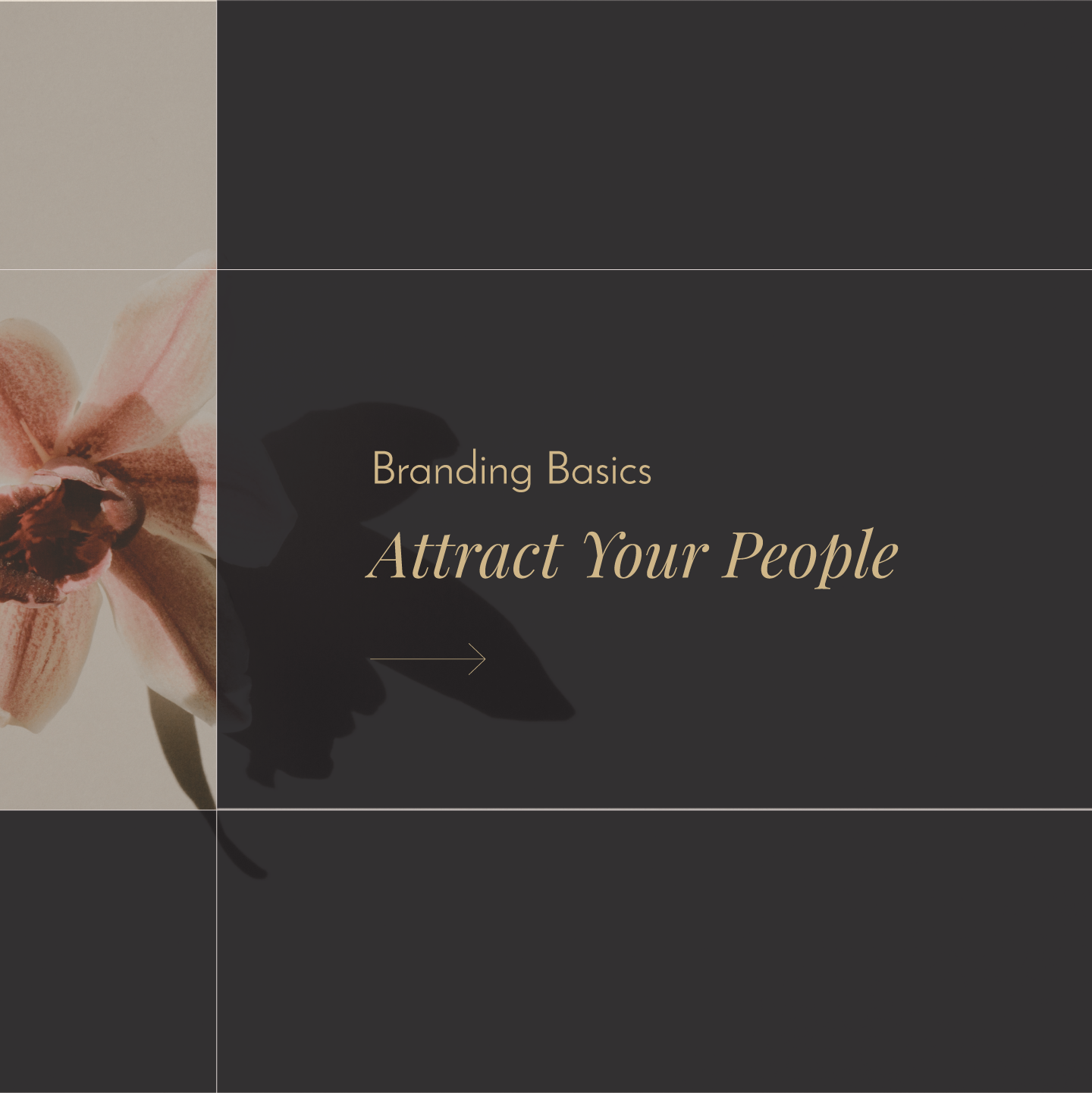 Branding Basics, Audience Profile, Attract Your People